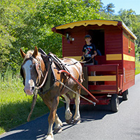 Cheval tirant une roulotte sur les routes du Périgord Vert.