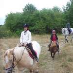 Enfants faisant du cheval et du poney.