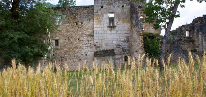 Abbaye de Boschaud_5