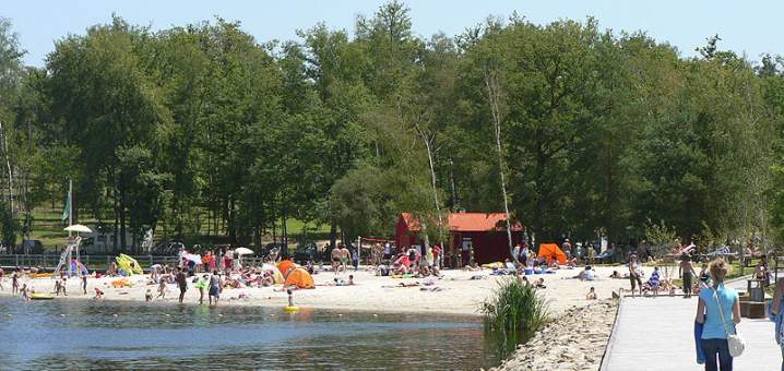 Grand Etang de Saint-Estphe