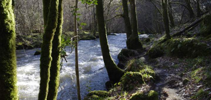 Saut-Chalard-hiver2