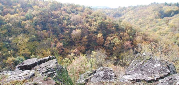 Vue sur les Gorges2