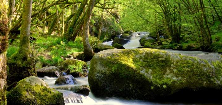 saut du chalard 05.08 056